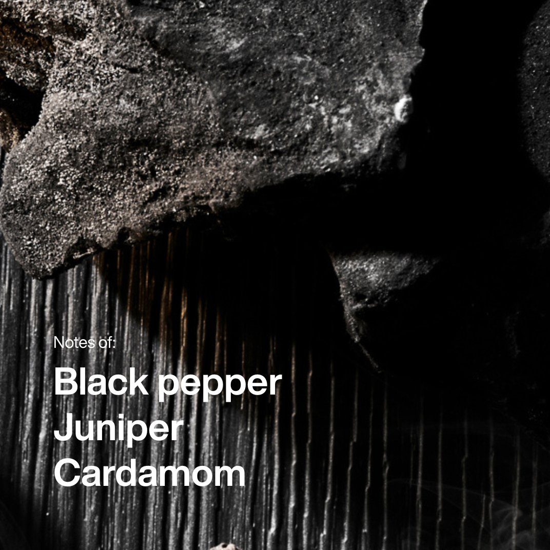 Blackspice Eau de Toilette Spray 50 ml 