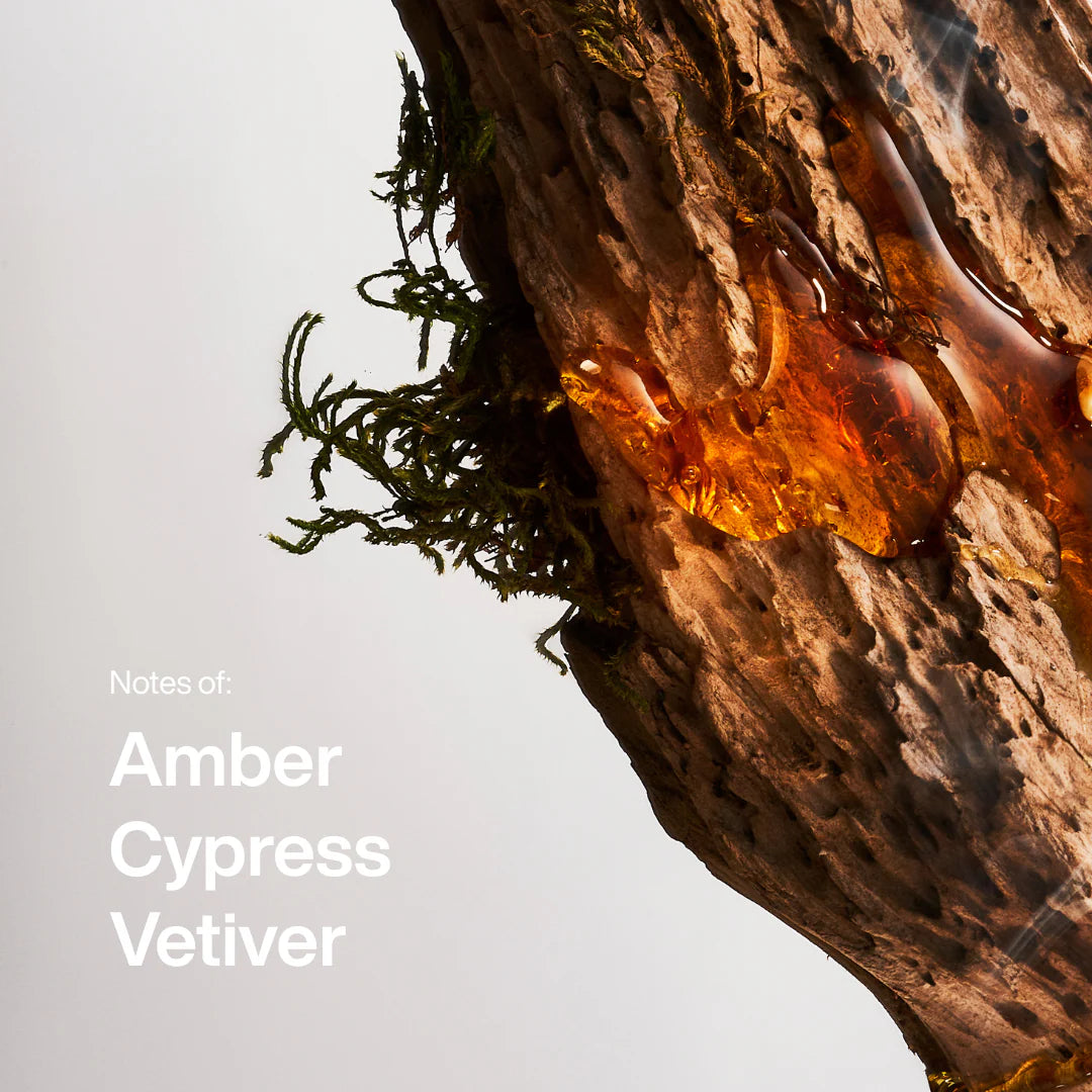 Amber &amp; Vetiver Duftduo