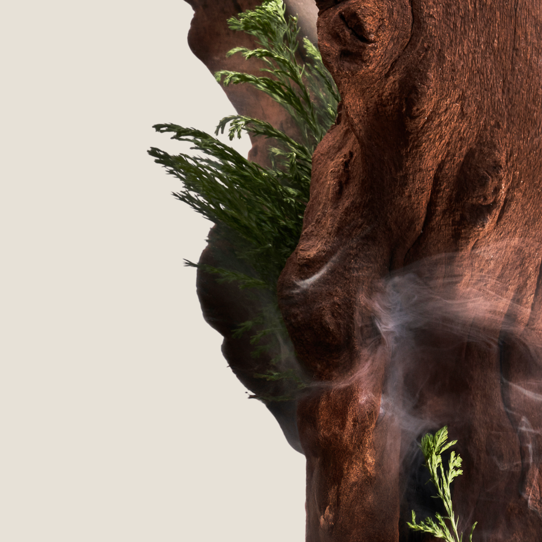 Hinoki Wood Douchegel 500ml 