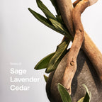 Nordic Spa Fragrance Duo